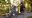 Foto: Andreas Hillergren / TT / kod 10600