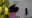 Paul Sancya/AP/TT