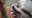 Kristopher Radder/AP/TT