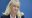 Foto: Anders Wiklund / TT
